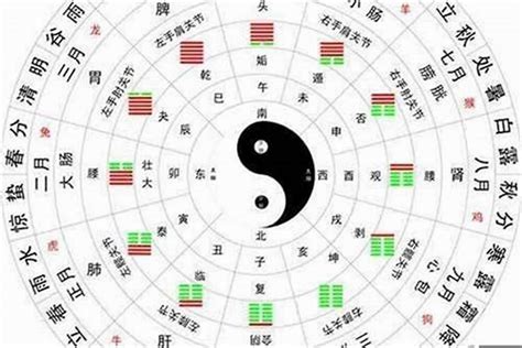 命格多水|五行多水的人是什么命 八字中有几个水是最好